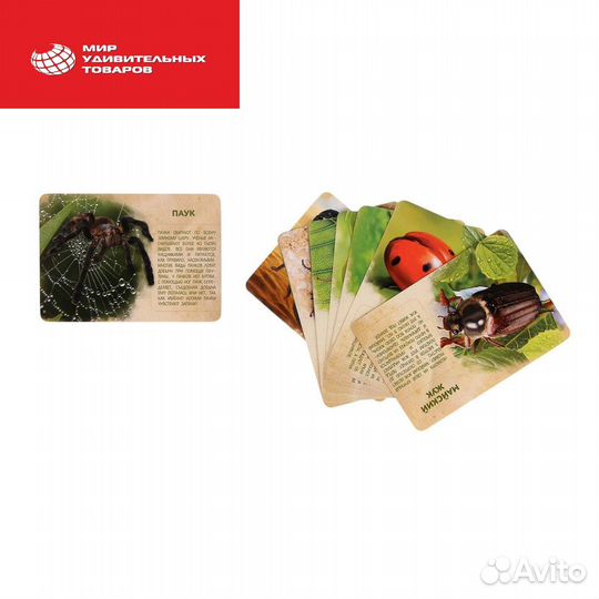 Набор животных Монтессори Арт: 2519486