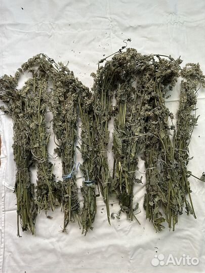 Зверобой, листья черники, мята,мелисса