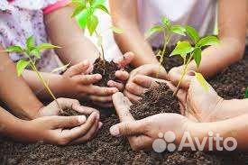 Чернозем, плодородный грунт, навоз, торф