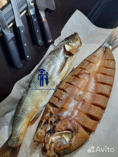 Жерех холодного копчения/Посылки из Астрахани