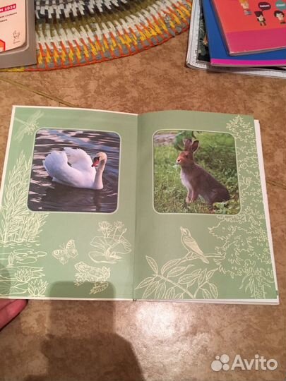 Атлас определитель от земли до неба