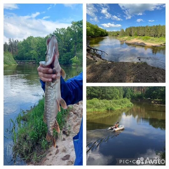 База отдыха в аренду