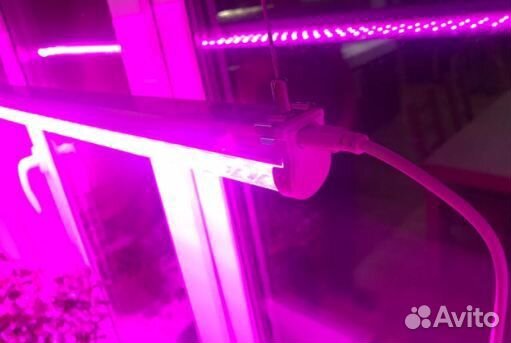 Фитолампа для растений и расады. Фитосветильник