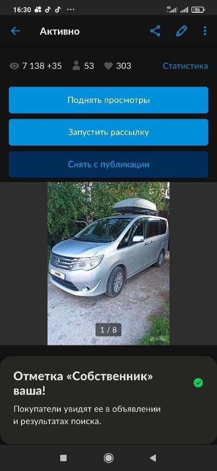Nissan Serena: фото владельца