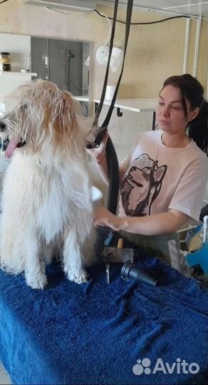 Грумер стрижка собак экспресс линька