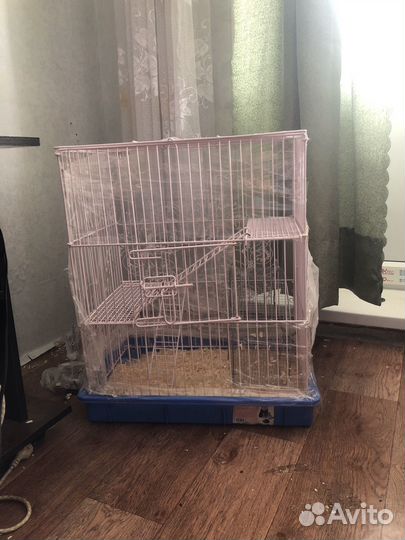 Клетка для грызунов очень большая
