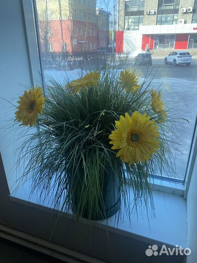 Большой цветочный горшок