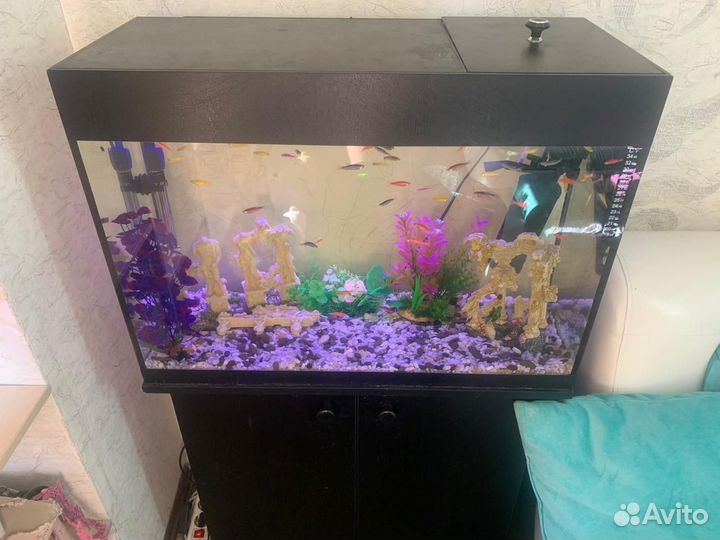 Продам аквариум