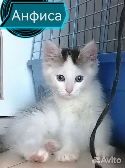 Анфиса 2 месяца