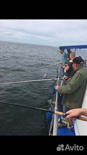 Прогулки, морская рыбалка в Калининграде на катере