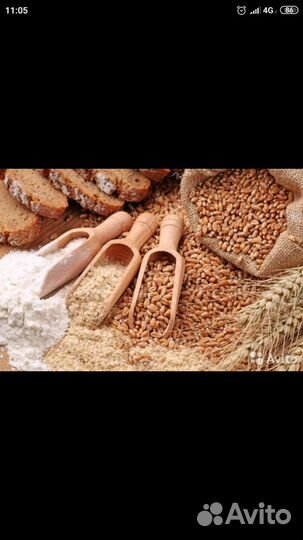 Мука Шугуровская цельнозерновая