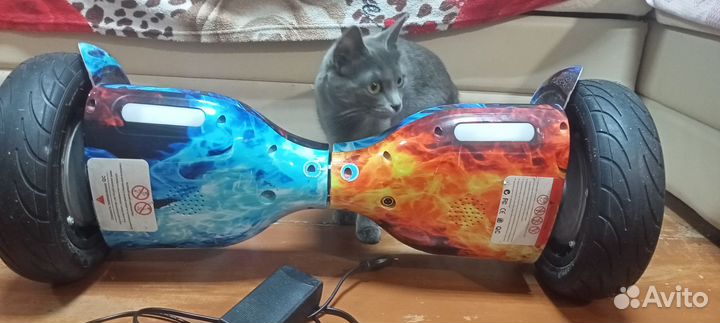 Гироскутер