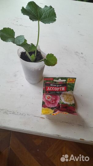 Цветы