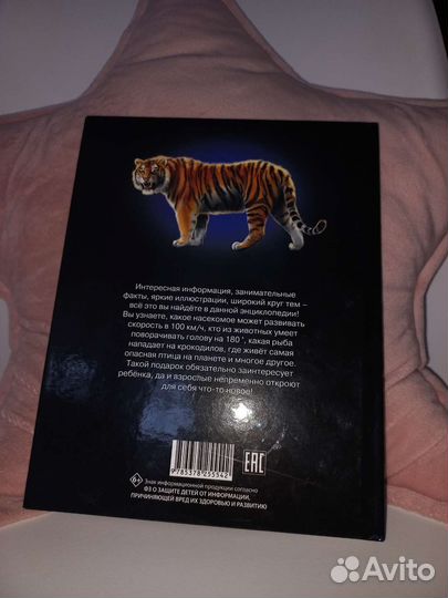 Энциклопедия 