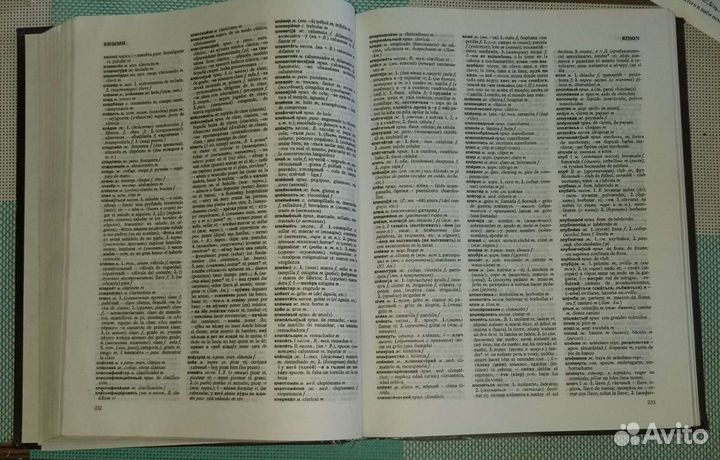 Большой Русско-испанский словарь