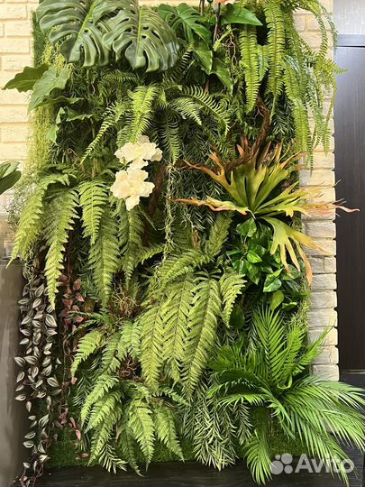 Пано премиум класса