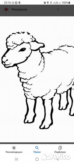 Овцы бараны