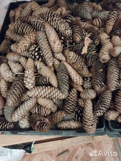 Новогодний венок на дверь