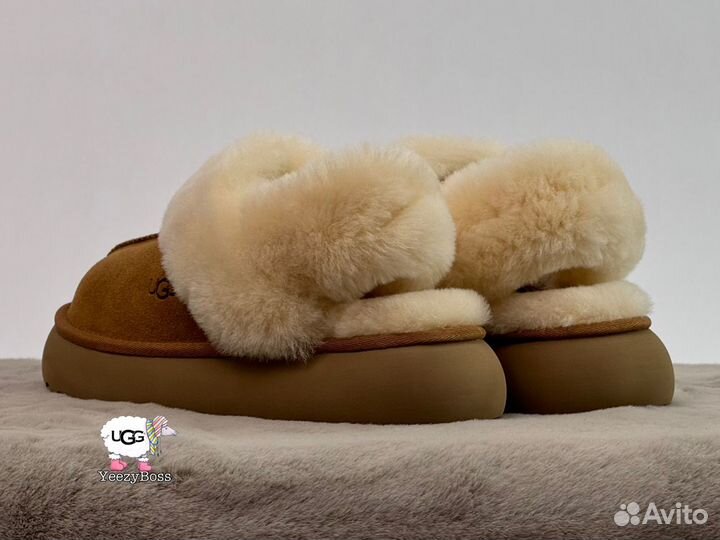 Угги тапочки женские Ugg Slippers Disquette