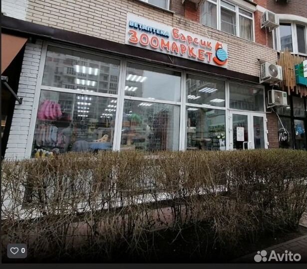 Продавец в зоомагазин (ул. Казбекская 16)