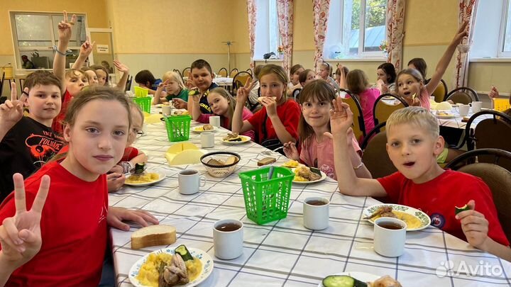 Путевка в детский лагерь (Подмосковье)