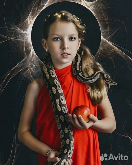 Животные для фотосессий