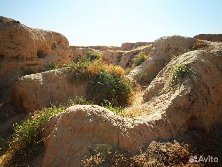 Экскурсия — Самарканд — Руины Афрасиаба ипамятники