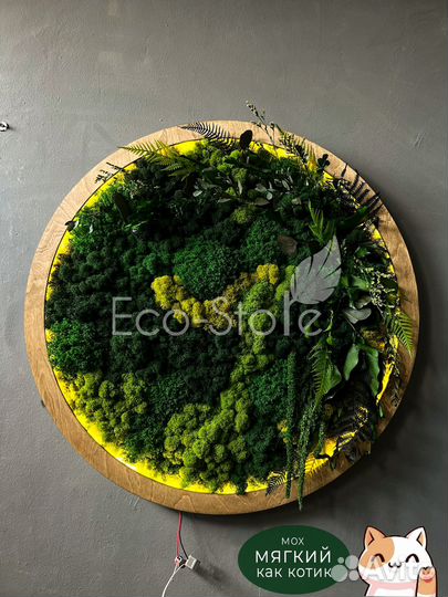Круг панно из мха с подсветкой