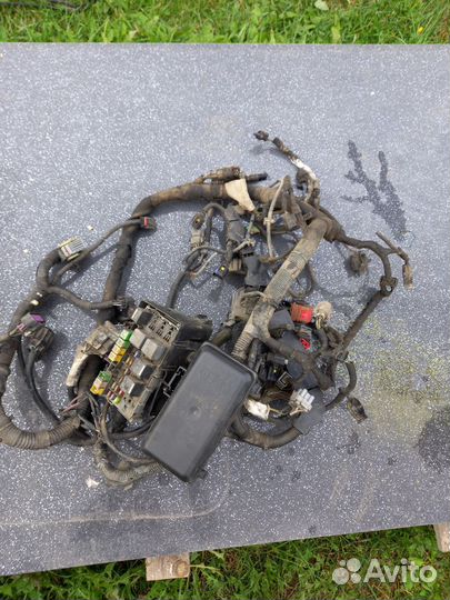 Подкапотная проводка форд транзит 2.2