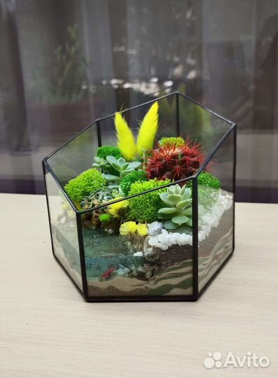 Флорариум в подарок