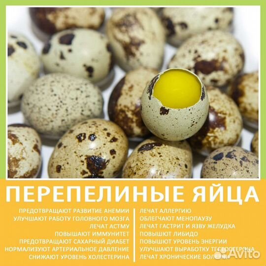 Яйца перепелиные домашние
