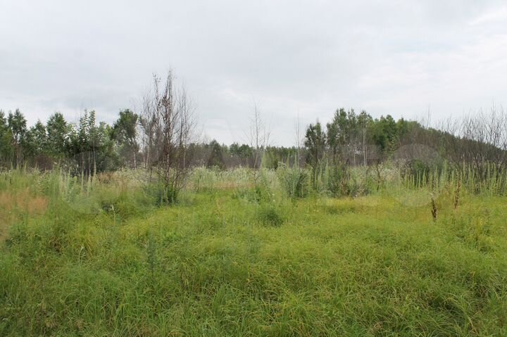 Участок 50 га (СНТ, ДНП)