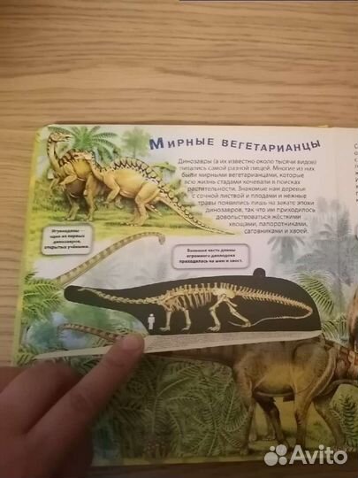 Детская энциклопедия с окошками