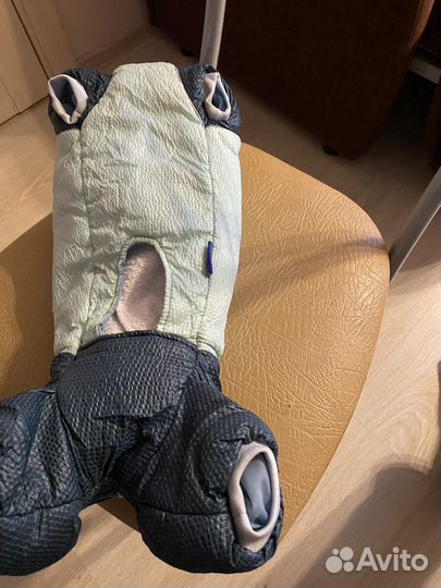 Комбинезон для маленькой собаки мальчика