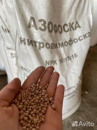 Нитроаммофоска(азофоска) 16:16:16