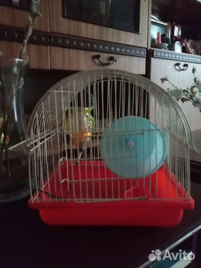 Клетка для хомяка