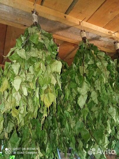 Березовые веники