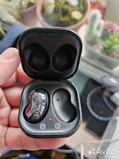 Samsung Galaxy buds live. Tws наушники