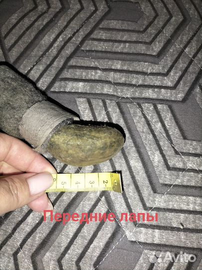 Валенки для собак