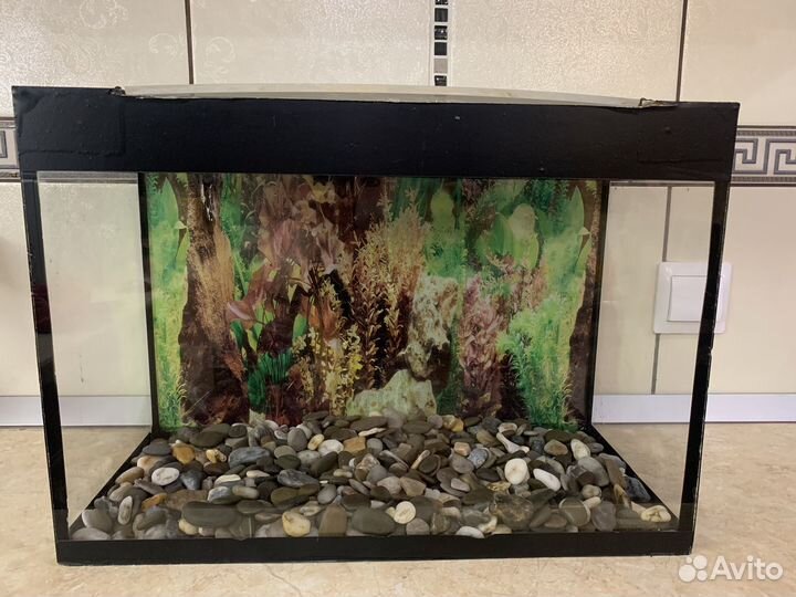 Аквариума