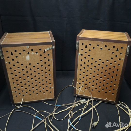 Акустическая система 10мас-1М