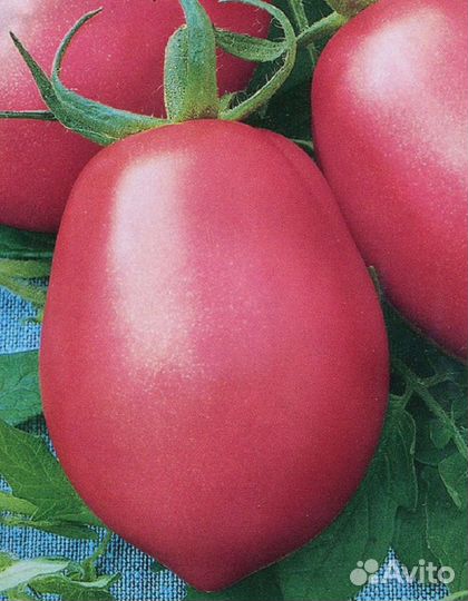 Томат Розовый фламинго 0,03 гр цв.п