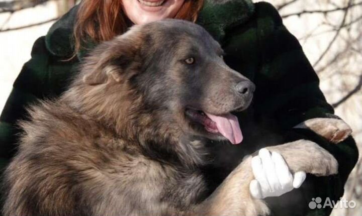 Крупный мальчик