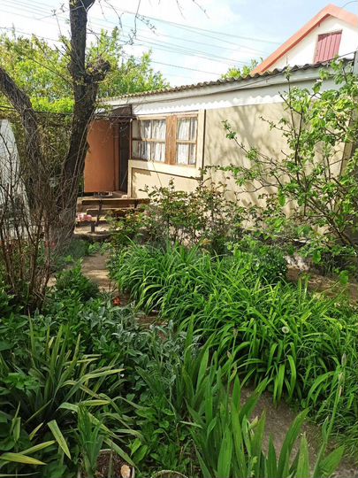 Дом 65,7 м² на участке 8 сот.