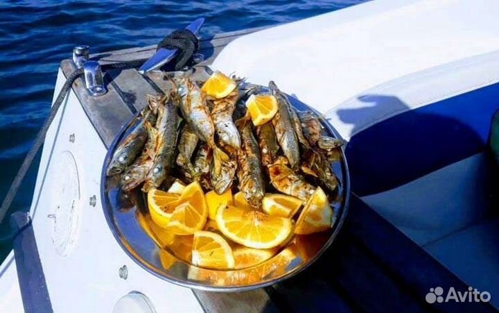 Экскурсия Рыбалка морская Сочи Адлер