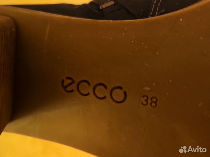 Сапоги женские зимние Ecco 38