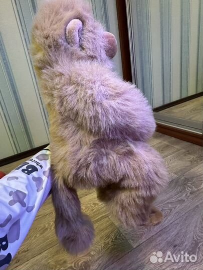 Обезьяна из Африки