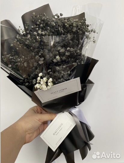 Чёрная гипсофила