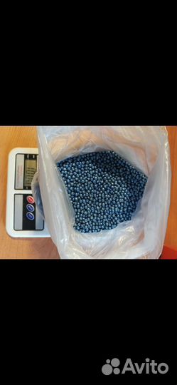 Семена сахарной свеклы