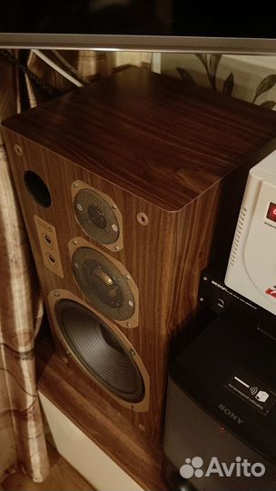 Акустика Coral dx5